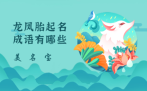 龍鳳胎起名成語(yǔ)有哪些大全