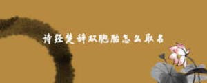 詩(shī)經(jīng)楚辭雙胞胎怎么取名
