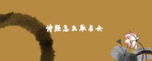 詩經(jīng)怎么取名女