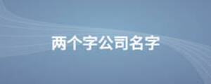 兩個(gè)字公司名字