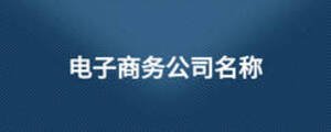 電子商務(wù)公司名稱(chēng)