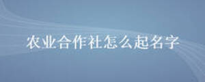 農業(yè)合作社怎么起名字