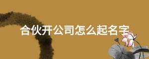 合伙開(kāi)公司怎么起名字