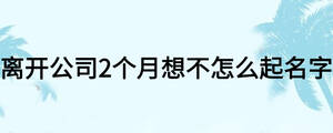 離開(kāi)公司2個(gè)月想不怎么起名字