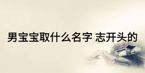 男寶寶取什么名字 志開(kāi)頭的