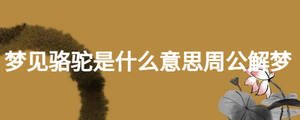 夢(mèng)見(jiàn)駱駝是什么意思周公解夢(mèng)