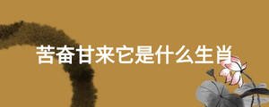 苦奮甘來(lái)它是什么生肖