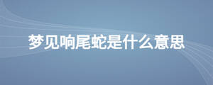 夢(mèng)見響尾蛇是什么意思