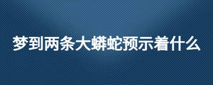 夢到兩條大蟒蛇預(yù)示著什么