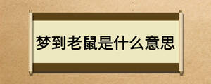 夢(mèng)到老鼠是什么意思
