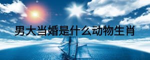 男大當(dāng)婚是什么動(dòng)物生肖