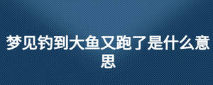 夢(mèng)見釣到大魚又跑了是什么意思