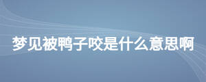 夢(mèng)見被鴨子咬是什么意思啊