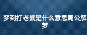 夢(mèng)到打老鼠是什么意思周公解夢(mèng)