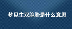 夢(mèng)見(jiàn)生雙胞胎是什么意思