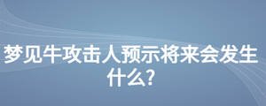 夢見牛攻擊人預(yù)示將來會發(fā)生什么?