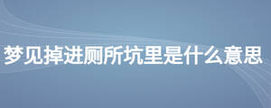 夢見掉進(jìn)廁所坑里是什么意思