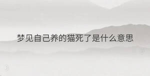 簡(jiǎn)單 - 2023-05-15T142510.543.jpg