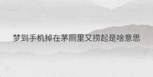 夢到手機(jī)掉在茅廁里又撈起是啥意思
