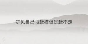 夢(mèng)見自己驅(qū)趕貓但是趕不走