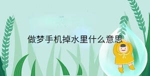 做夢(mèng)手機(jī)掉水里什么意思