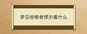 夢見收糧食預(yù)示著什么