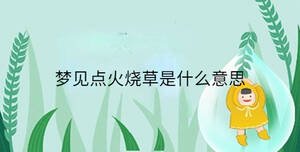 夢(mèng)見點(diǎn)火燒草是什么意思