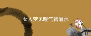 女人夢(mèng)見(jiàn)暖氣管漏水
