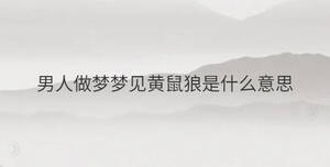 男人做夢(mèng)夢(mèng)見黃鼠狼是什么意思