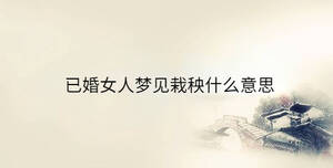 傳統(tǒng) - 2023-08-16T104642.325.jpg