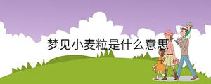 夢(mèng)見(jiàn)小麥粒是什么意思