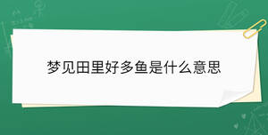 夢(mèng)見田里好多魚是什么意思