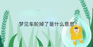 夢(mèng)見車輪掉了是什么意思