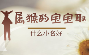 屬猴的寶寶小名大全